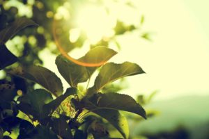 Renewable Energy and Energy Storage – a challenge for the future